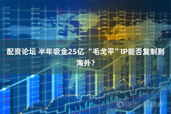 配资论坛 半年吸金25亿 “毛戈平”IP能否复制到海外？