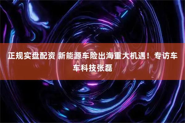正规实盘配资 新能源车险出海重大机遇！专访车车科技张磊