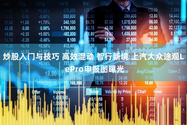 炒股入门与技巧 高效混动 智行新境 上汽大众途观L ePro申报图曝光