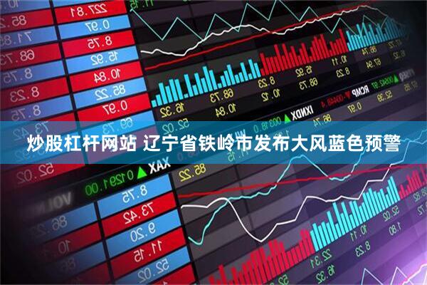 炒股杠杆网站 辽宁省铁岭市发布大风蓝色预警