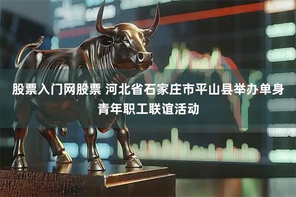股票入门网股票 河北省石家庄市平山县举办单身青年职工联谊活动